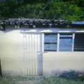 Primaria Conafe