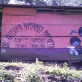 Primaria Conafe