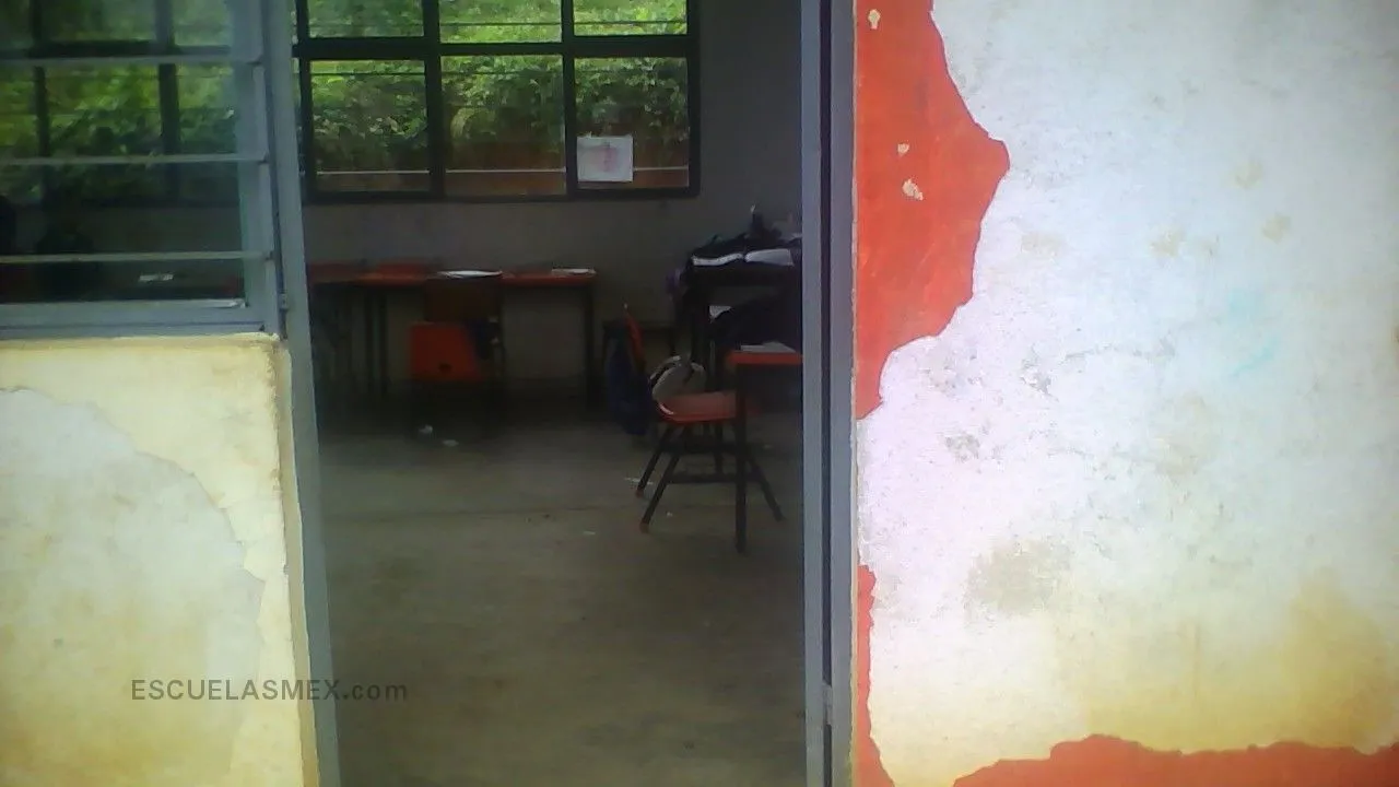 Primaria Conafe Entrada