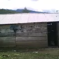 Primaria Conafe