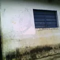 Primaria Conafe
