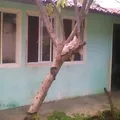 Primaria Conafe