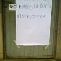 Primaria Conafe