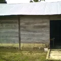 Primaria Conafe