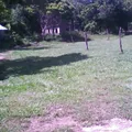Primaria Conafe