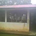 Primaria Conafe