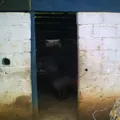 Primaria Conafe