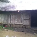 Primaria Conafe