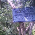 Primaria Conafe