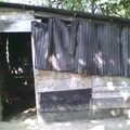 Primaria Conafe