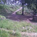 Primaria Conafe