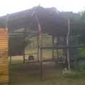 Primaria Conafe
