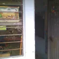 Primaria Conafe