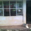 Primaria Conafe