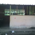 Primaria Conafe