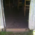 Primaria Conafe