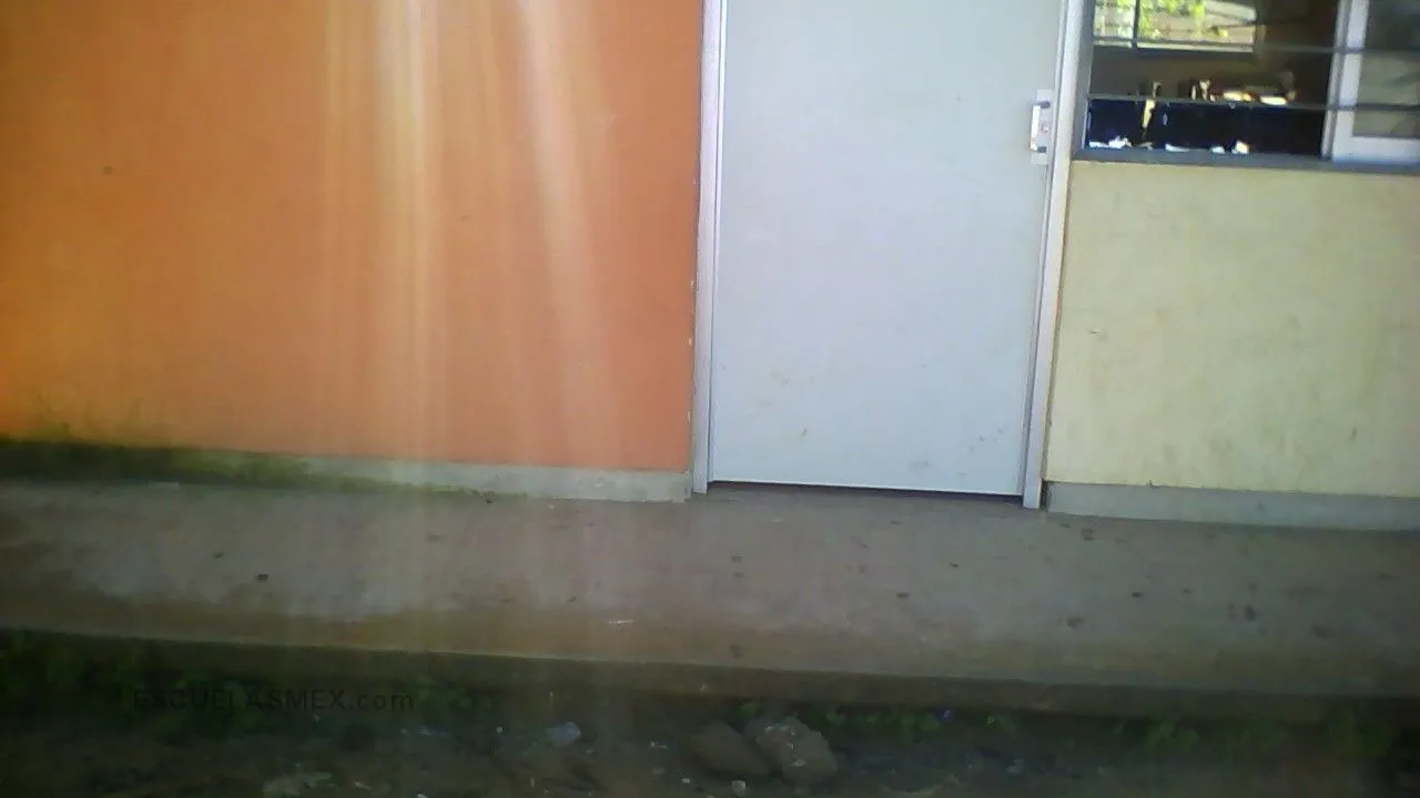 Primaria Conafe Entrada