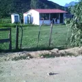 Primaria Conafe