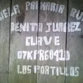 Primaria Conafe