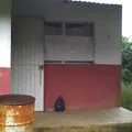 Secundaria Comunitaria