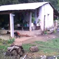Secundaria Comunitaria