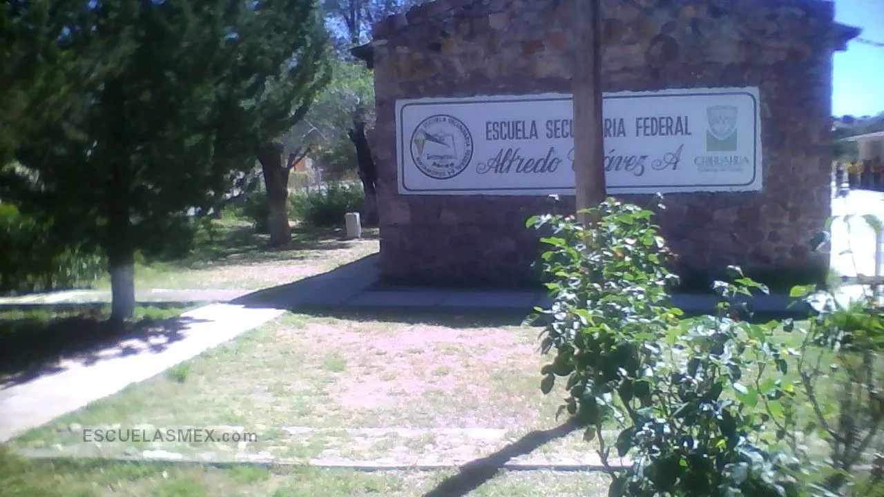 Alfredo Chavez Amparan Entrada