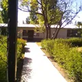Constitucion Mexicana