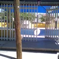 Cuauhtli