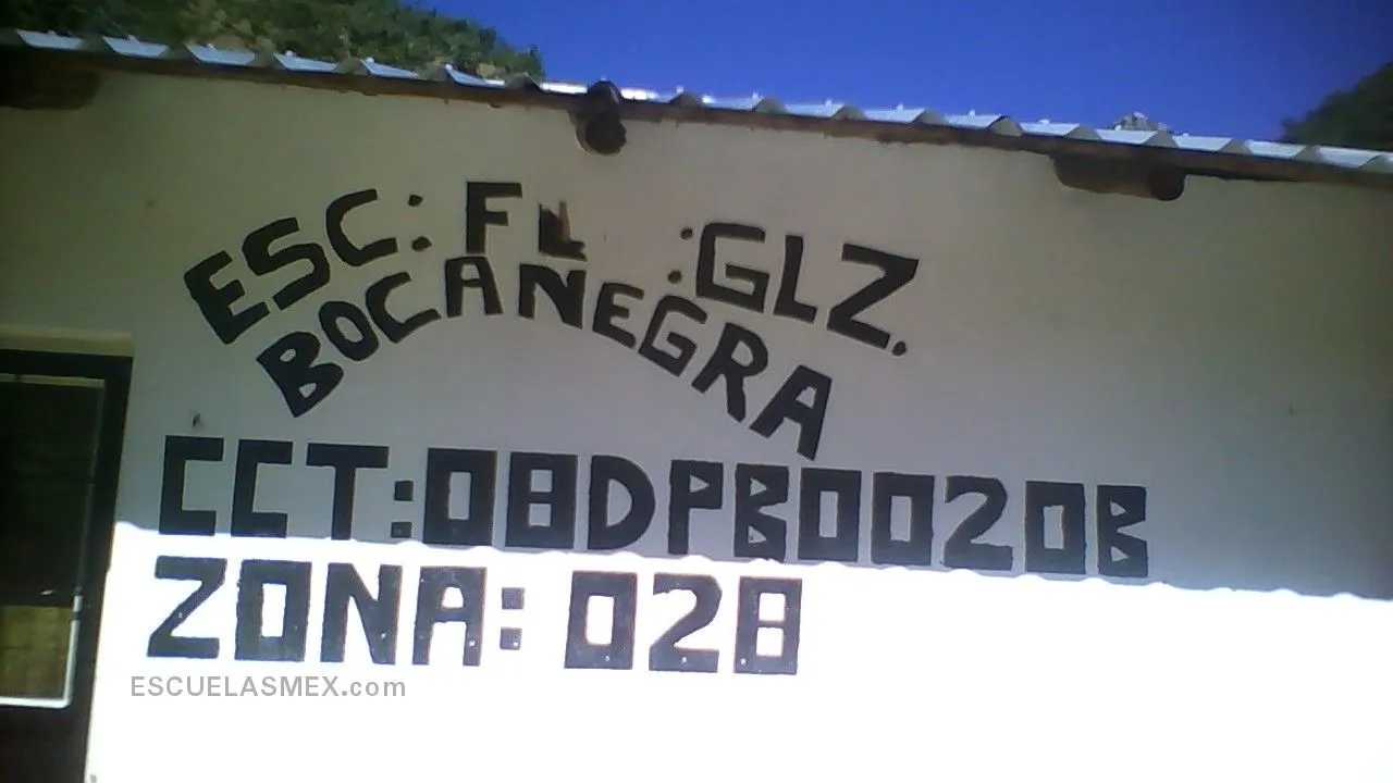 Francisco Gonzalez Bocanegra Entrada