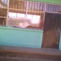 18 de Marzo