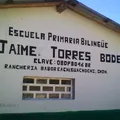 Jaime Torres Bodet