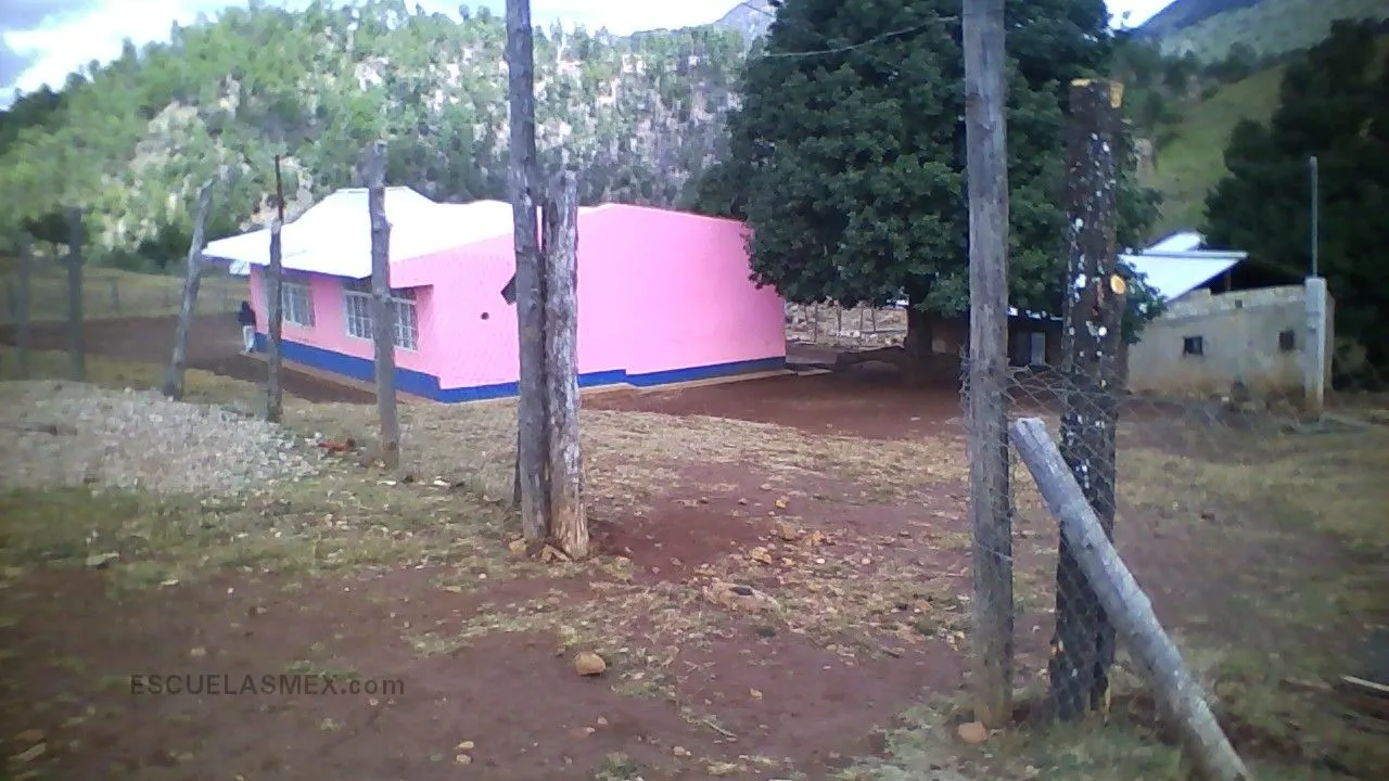 Maria Luisa Olivas Duarte Entrada