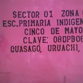 Cinco de Mayo