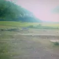 Niños Revolucionarios