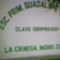 Guadalupe Victoria
