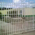 Gustavo Diaz Ordaz
