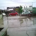 Ricardo Flores Magon