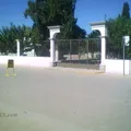 Pedro Meoqui