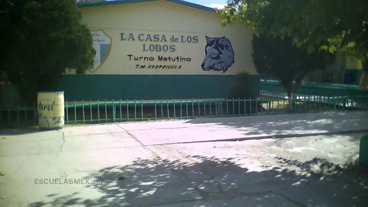 David Alfaro Siqueiros Entrada