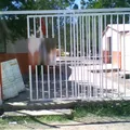 Escuadron 201