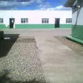 Francisco D Salido
