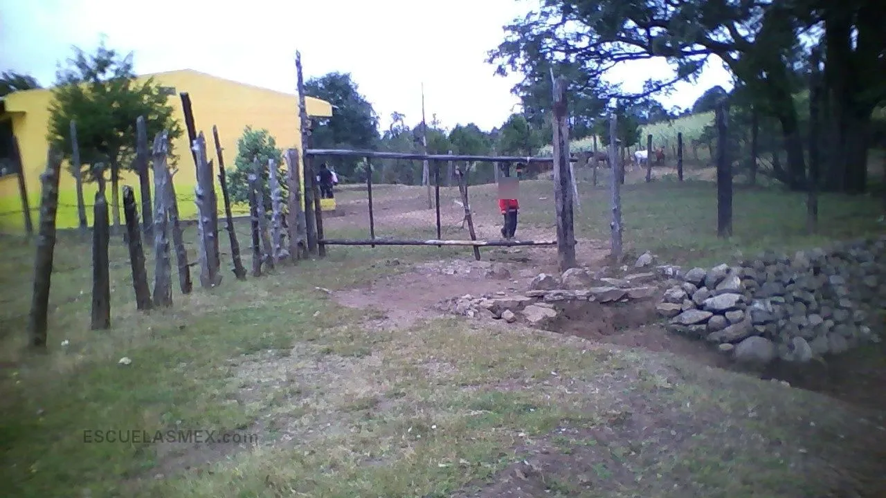 Americas Unidas Entrada