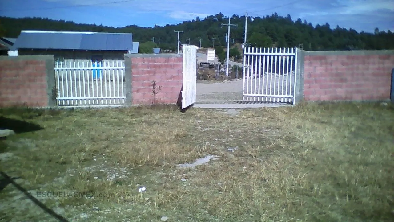 Valentin Gomez Farias Entrada