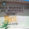 Ignacia Rodriguez Lozoya