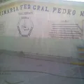 Pedro Meoqui