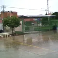 Chihuahua 2000