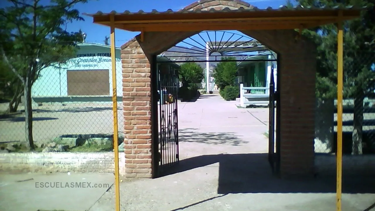 Mario A. Macias Saldaña Entrada