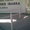 Edelmira Torres Ibarra