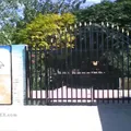 Secundaria Tecnica 89