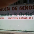 Amalia E Ortiz 1082